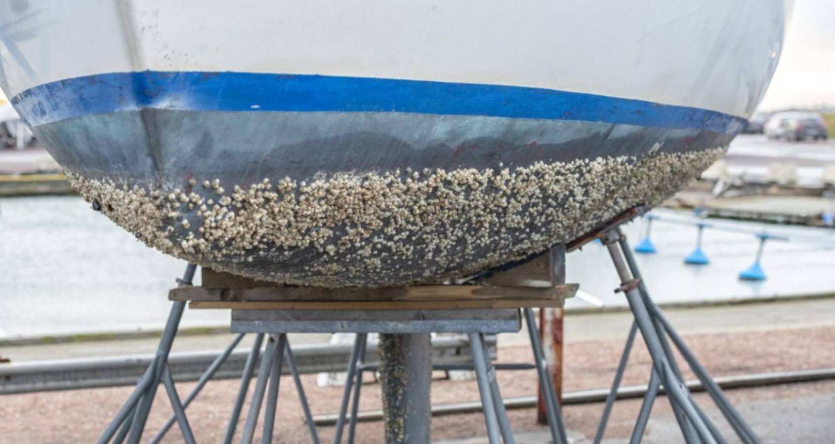 Why Do People Paint the Bottom of Their Boats?