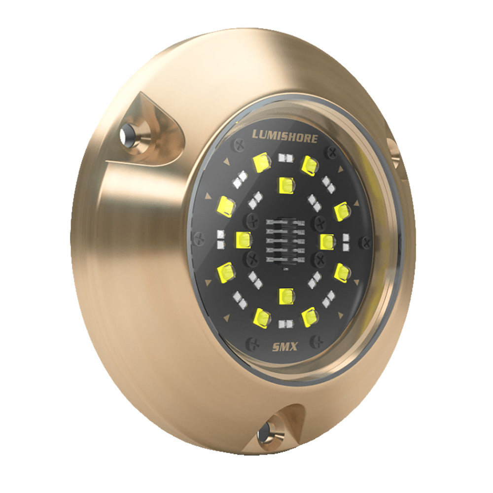 Lumishore ECLIPSE SMX54 Single Surface Mount Underwater  Light BlueWhite 0100450500